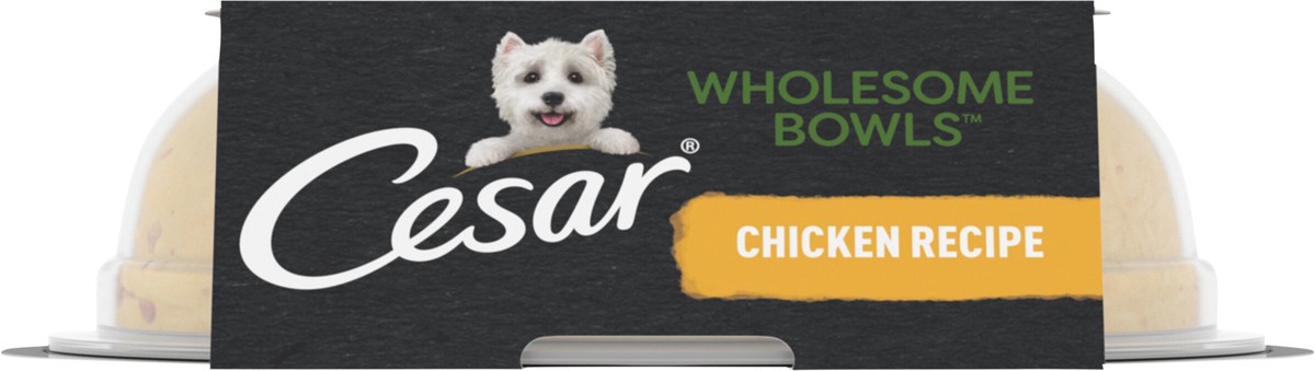 slide 10 of 14, Cesar Wholesome Bowls Chicken - 3 Oz., 3 oz