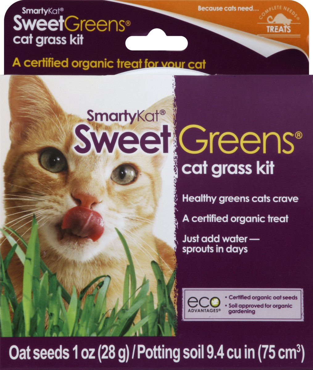 slide 2 of 2, SmartyKat Sweet Greens Cat Grass Kit, 1 ct