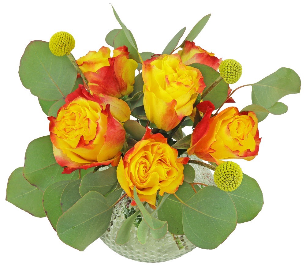 slide 3 of 3, BLOOM HAUS Low Vase Trinity Floral Arrangement, 9 ct