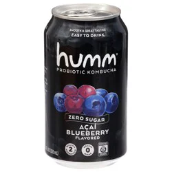 Humm Zero Blueberry Mint- 12 fl oz