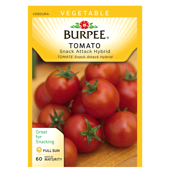 slide 1 of 1, Burpee Tomato Snack Attack Hybrid Seeds, 1 ct