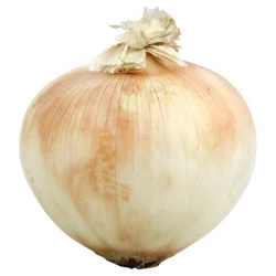 Jumbo Organic Yellow Onion