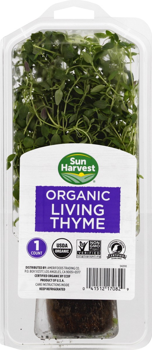 slide 10 of 11, Sun Harvest Organic Living Thyme, 1 ct