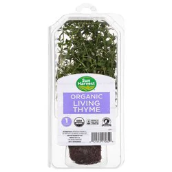 Sun Harvest Organic Living Thyme