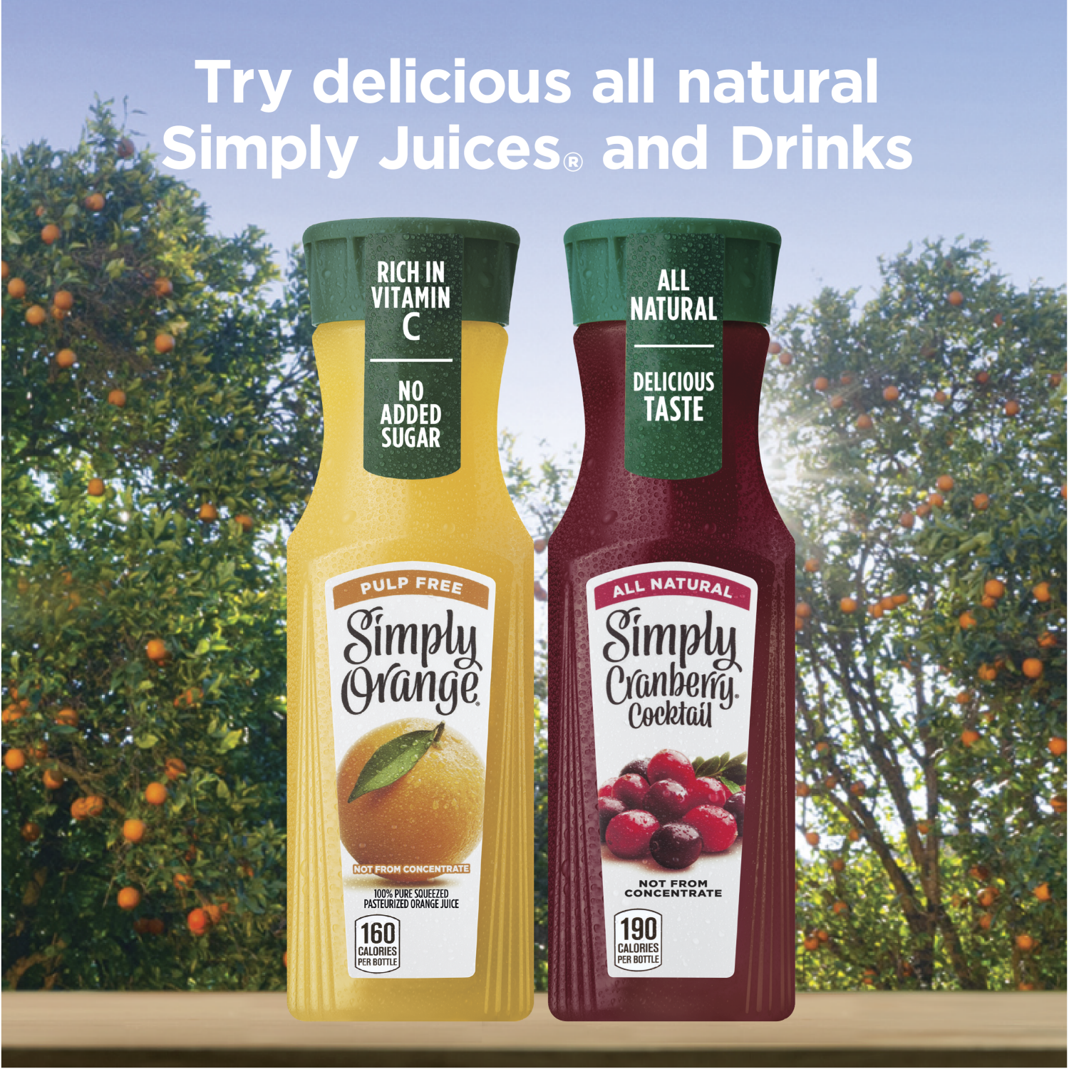 slide 2 of 5, Simply Cranberry Cocktail- 11.5 fl oz, 11.5 fl oz