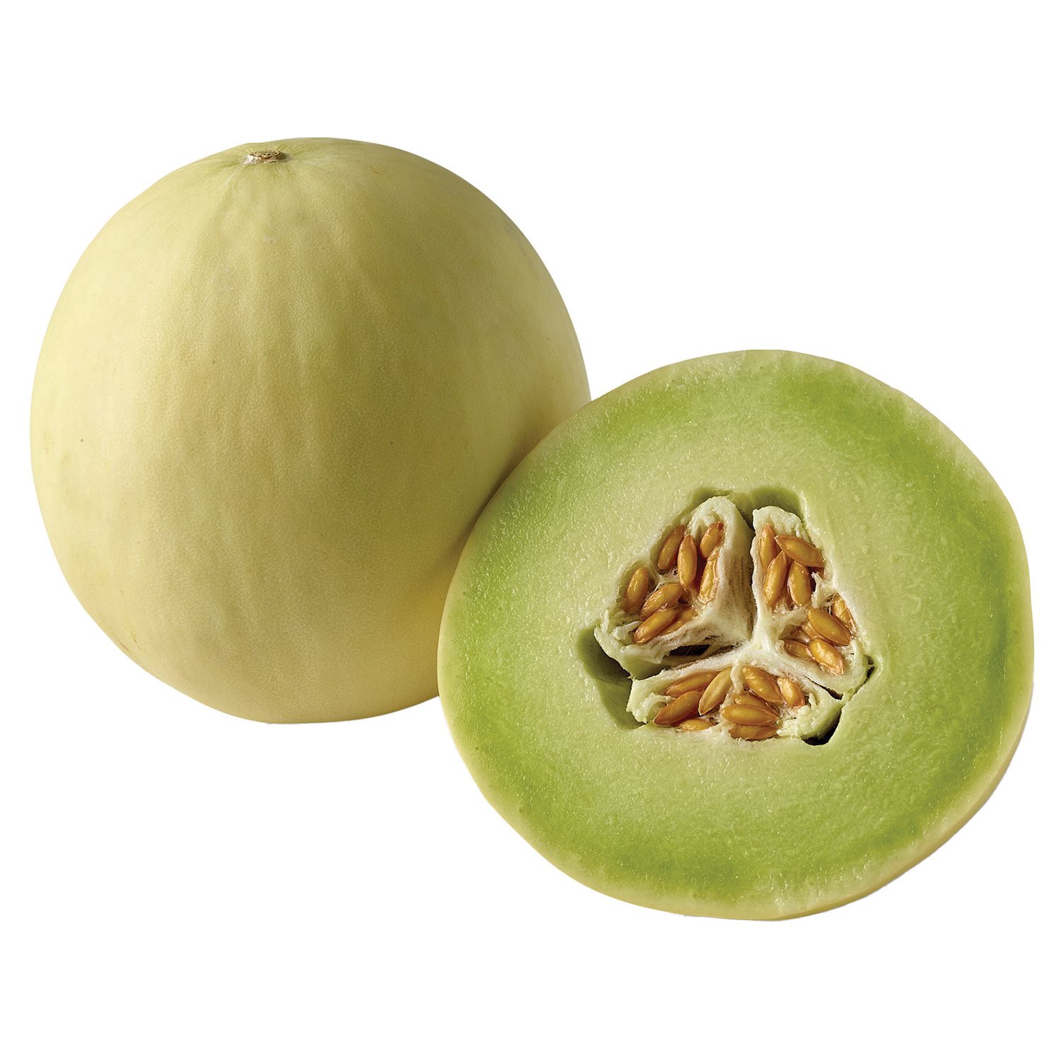 slide 1 of 1, Fresh Honeydew Melon, 1 ct