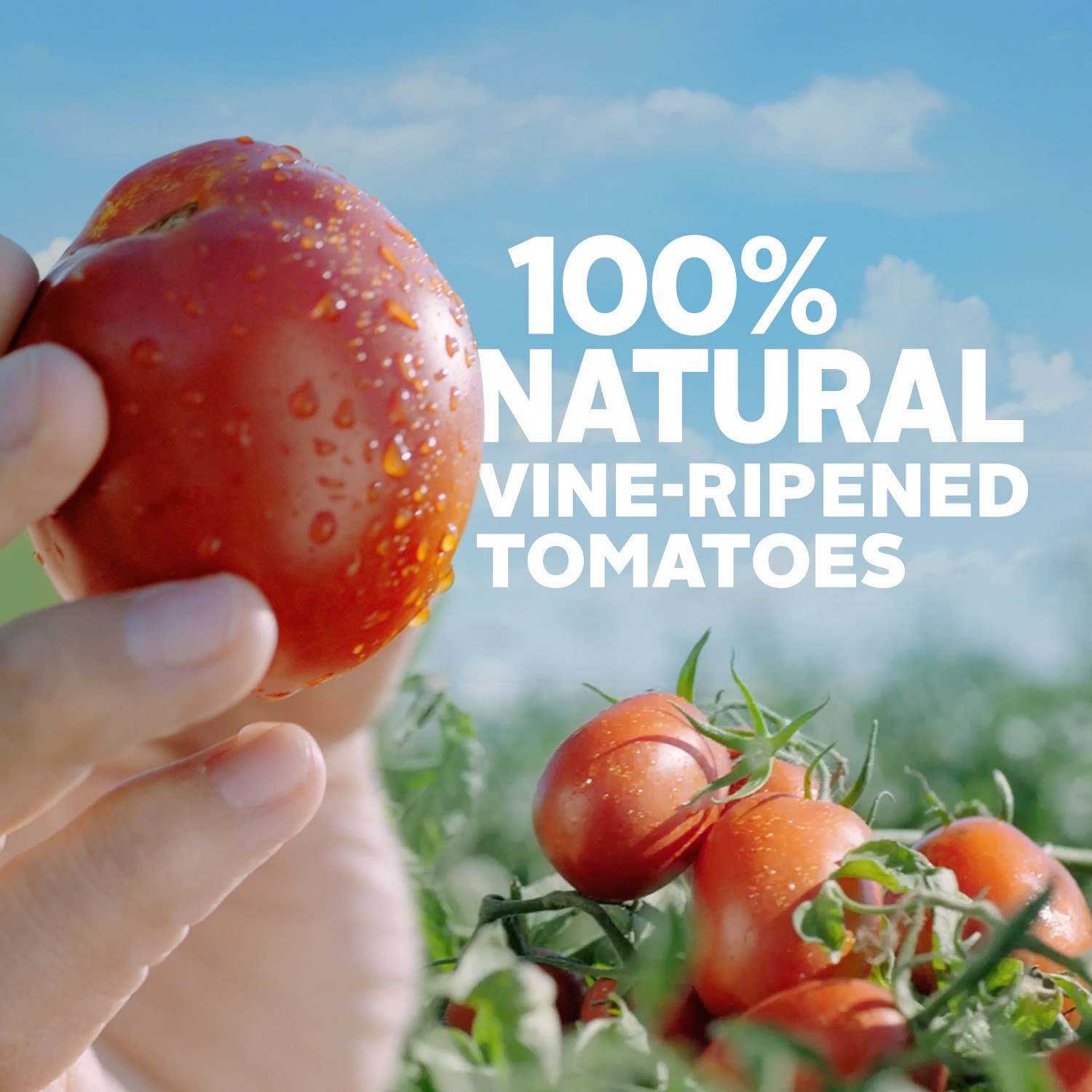 slide 5 of 5, Hunt's Crushed Tomatoes 100% Natural With No Salt Added, 28 oz., 28 oz