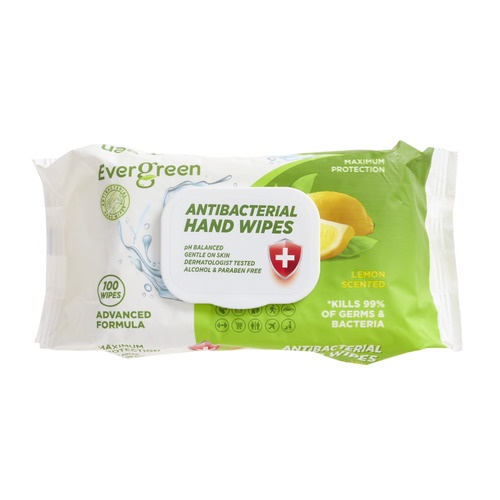 Evergreen® Antibacterial Hand Wipes 100 Count Shipt 7893