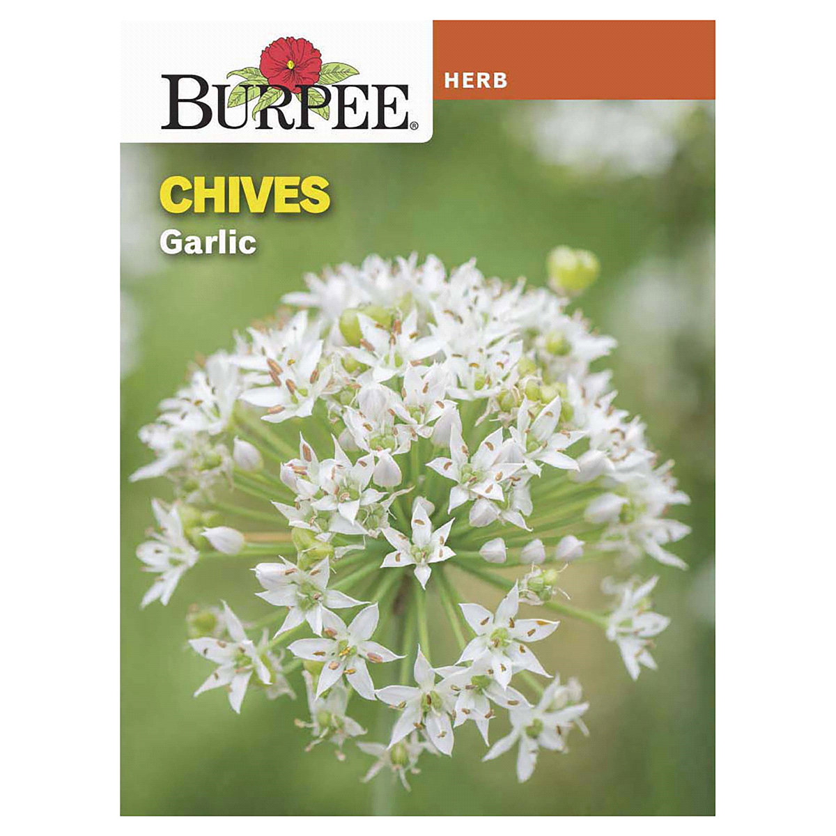 slide 1 of 5, Burpee Garlic Chive Seeds, 1 ct