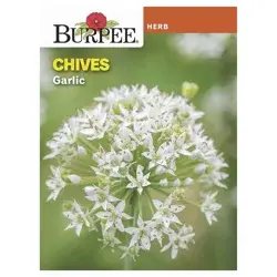 Burpee Garlic Chive Seeds