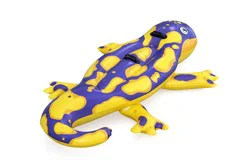 H2OGo! 3y+ Splashin' Salamander Ride-On 1 ea