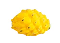 Dragon Fruit