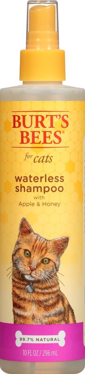 slide 6 of 9, Burt's Bees For Cats Apple & Honey Waterless Shampoo 10 oz, 10 oz