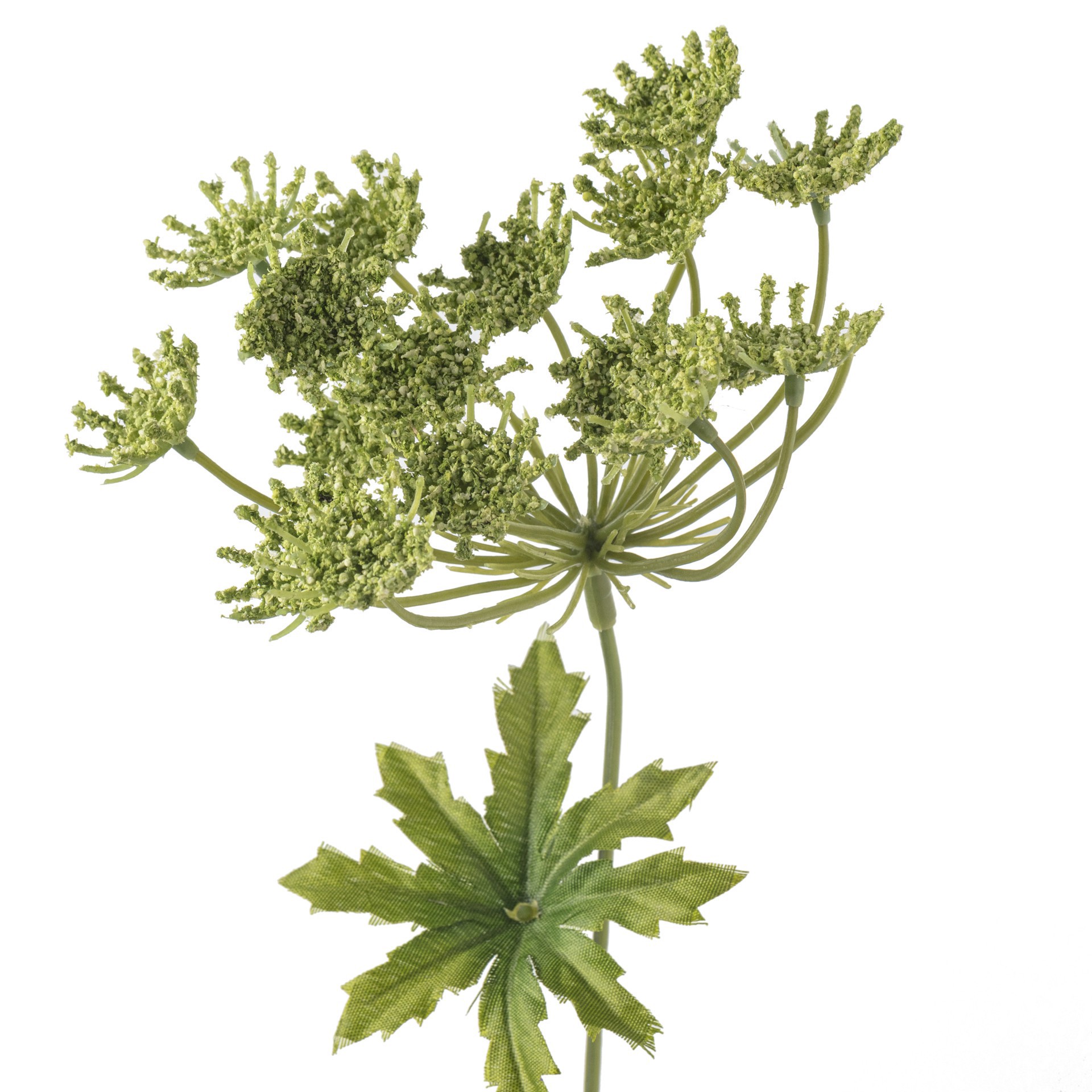 slide 3 of 3, Light Green Queen Anne's Lace Spray By Ashland, 27 in