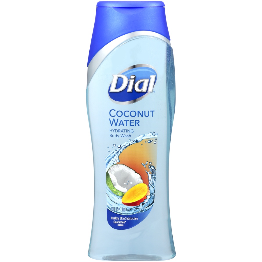 slide 1 of 1, Dial Body Wash 16 oz, 16 fl oz