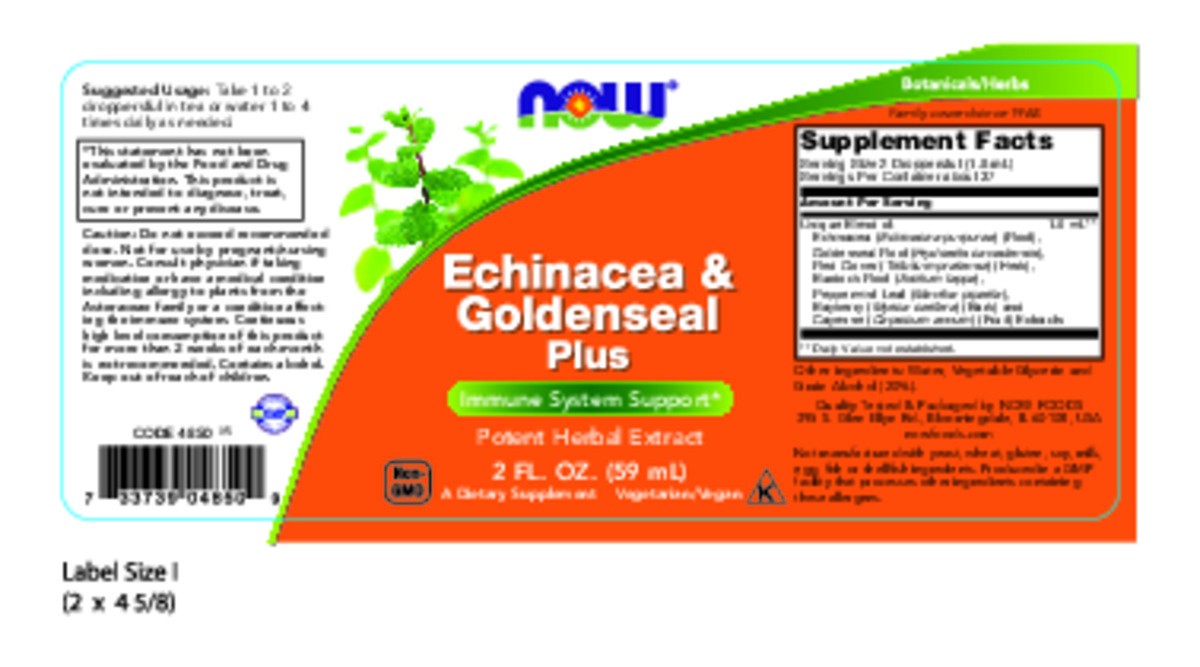 slide 5 of 8, NOW Echinacea & Goldenseal Plus - 2 oz., 2 fl oz