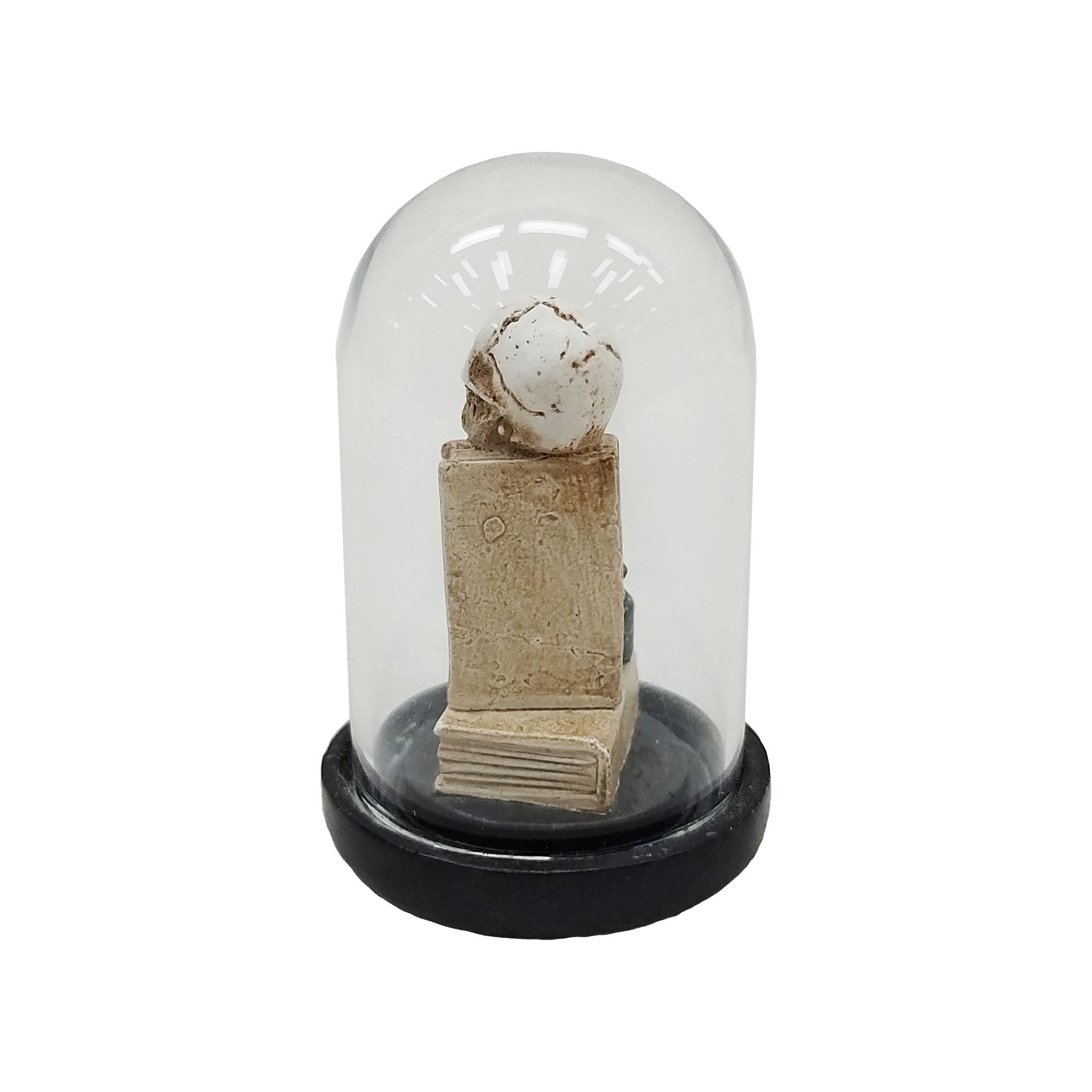 slide 2 of 2, Mini Skull & Books In Cloche By Ashland, 1.18 in x 1.18 in x 1.73 in