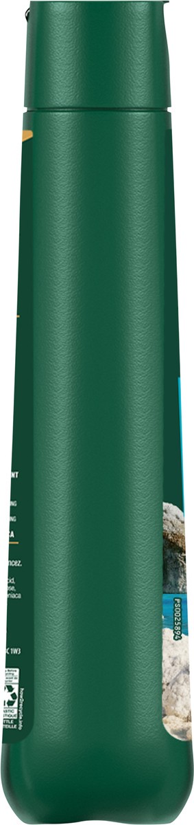 slide 8 of 8, Irish Spring Active Scrub Body Wash for Men, 20 Oz, 20 fl oz