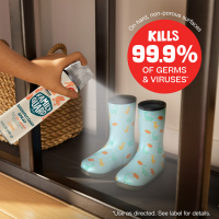 slide 6 of 29, FamilyGuard Brand Disinfectant Spray, 17.5 oz, Citrus, For 100+ Surfaces Your Family Touches Most, 17.5 oz