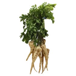 Coco Parsley Roots