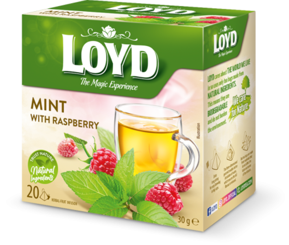 slide 1 of 1, LOYD Mint w/ Raspberry Pyramid Tea Bags, 20 ct