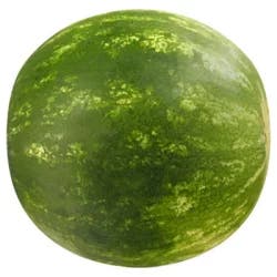 Seedless Melon Seedless