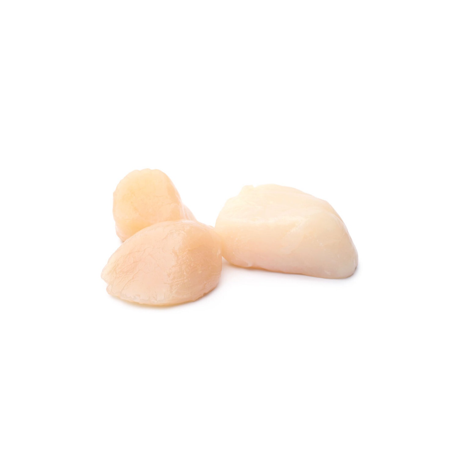 slide 1 of 1, Cub Sea Scallops U/10, 1 Pound, per lb