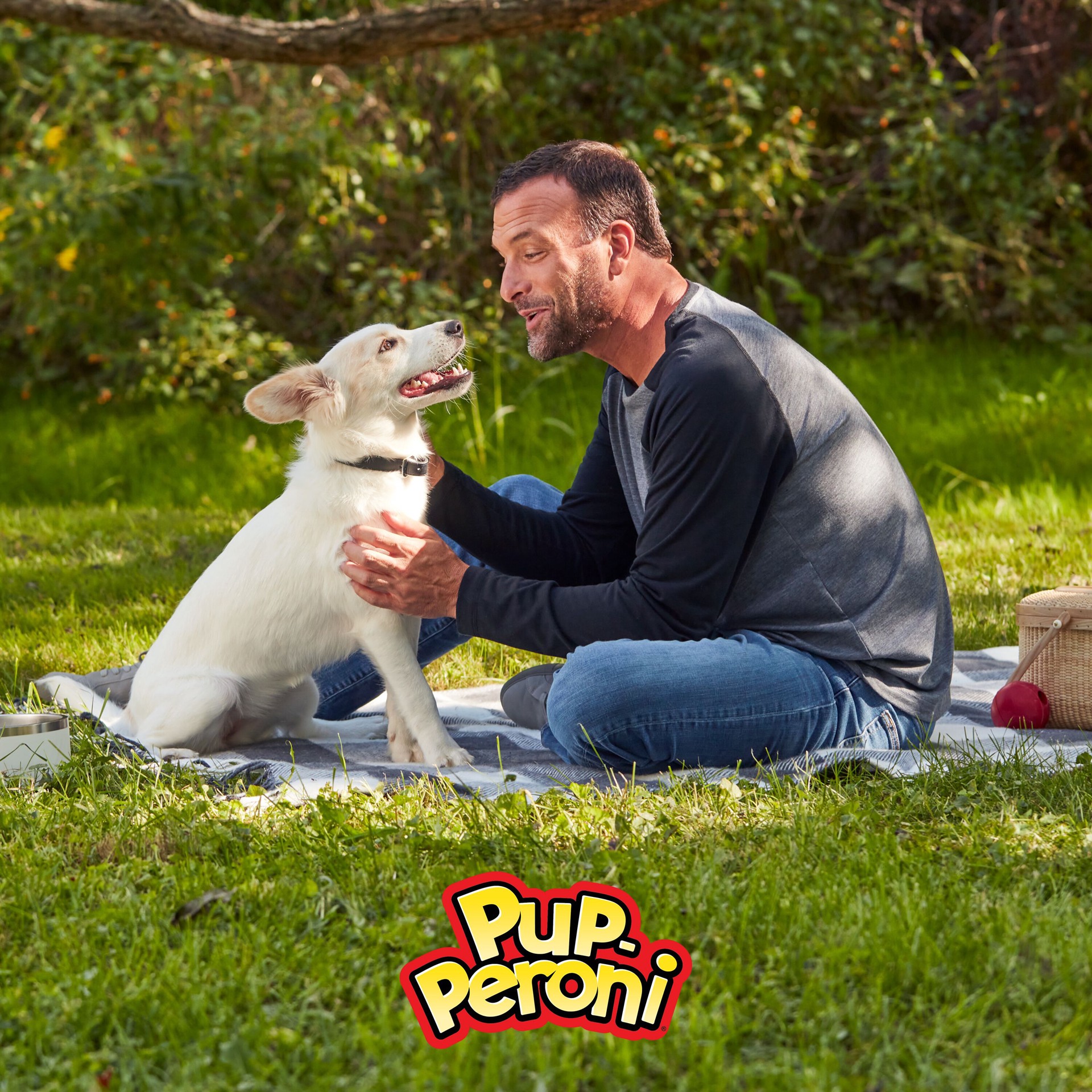 slide 6 of 8, Pup-Peroni Rounds Dog Treats With Beef Brisket, 5 oz. Bag, 5 oz