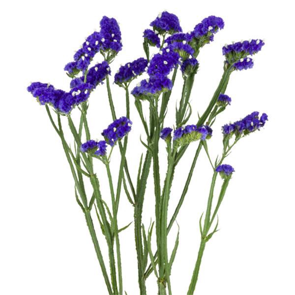 slide 1 of 1, Garden Bunches Statice (Jolo) (Where Available), 1 ct