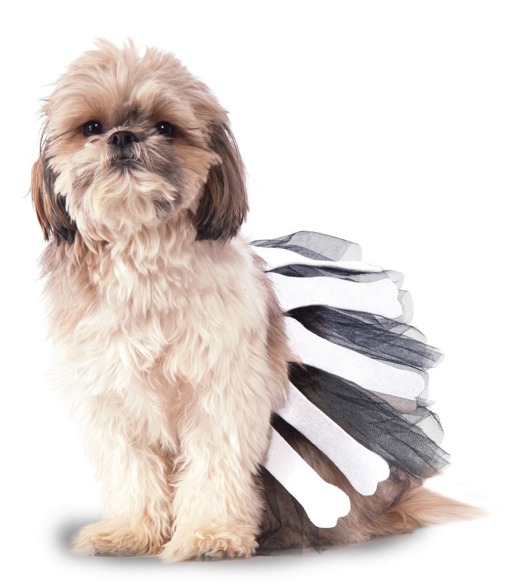 slide 1 of 1, Rubie's Costume Bones Tutu - M/L, 1 ct