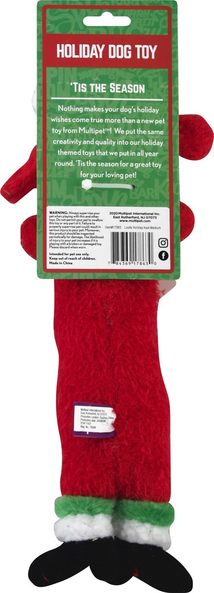 slide 2 of 11, Multipet 12 Inch Hol Loofa Dog, 1 ct