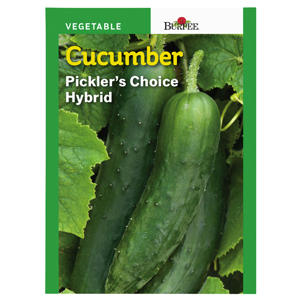 slide 1 of 1, Burpee Cucumber Pickler's Choice Hybrid Seeds, 1 ct