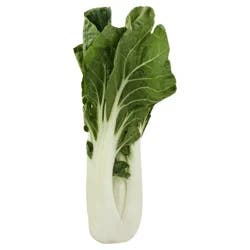 Produce Bok Choy