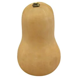 Butternut Squash 1 ea