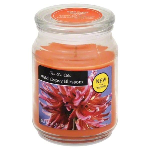 slide 1 of 1, Candle-Lite Terrace Jar Candle Wild Gypsy Blossom, 18 oz