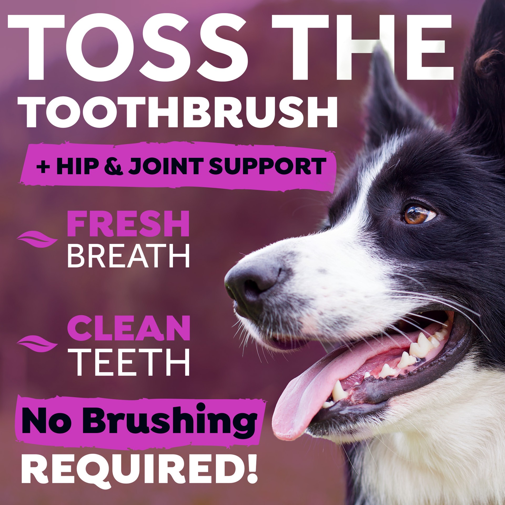 slide 8 of 10, TropiClean Fresh Breath Dental Health Solution Plus Hip & Joint for Dogs, 16oz, 16 oz