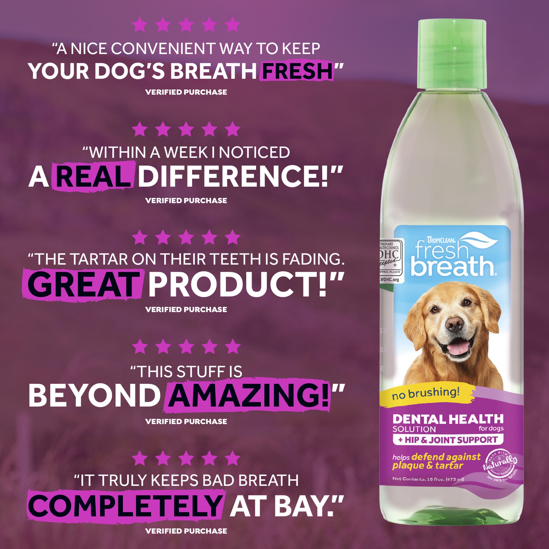 slide 3 of 10, TropiClean Fresh Breath Dental Health Solution Plus Hip & Joint for Dogs, 16oz, 16 oz