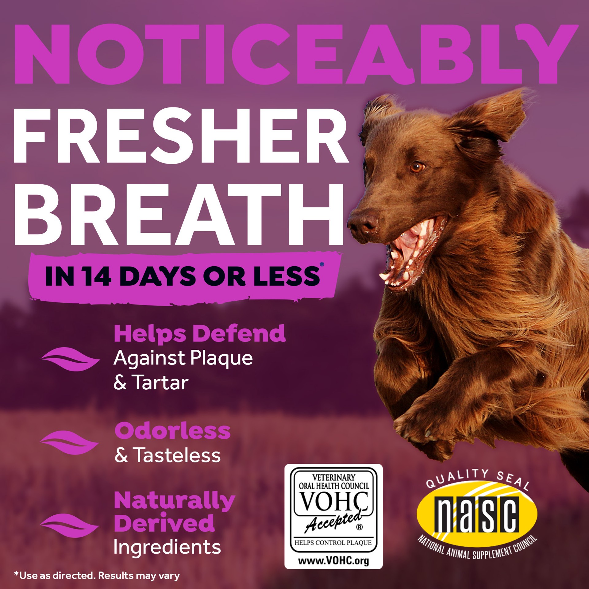 slide 6 of 10, TropiClean Fresh Breath Dental Health Solution Plus Hip & Joint for Dogs, 16oz, 16 oz