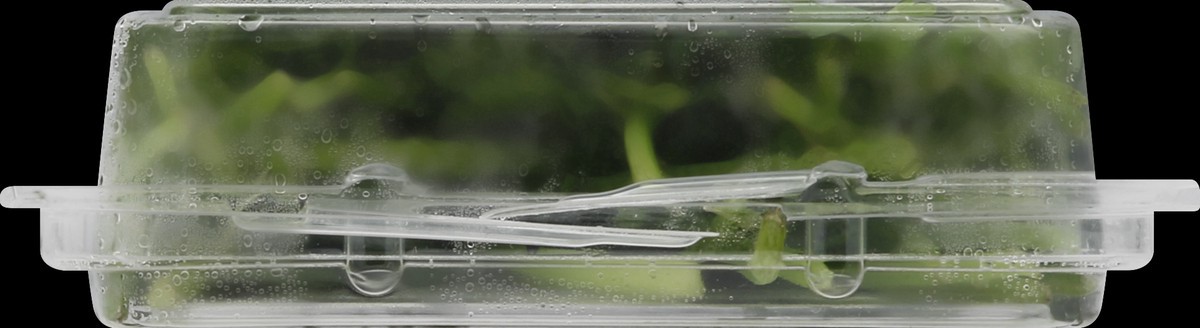 slide 2 of 6, Full Circle Cilantro, 0.67 oz