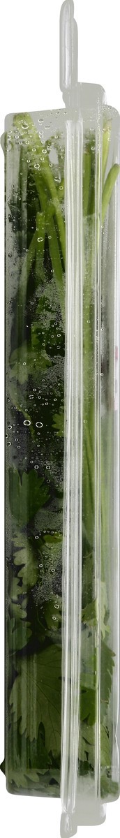 slide 3 of 6, Full Circle Cilantro, 0.67 oz