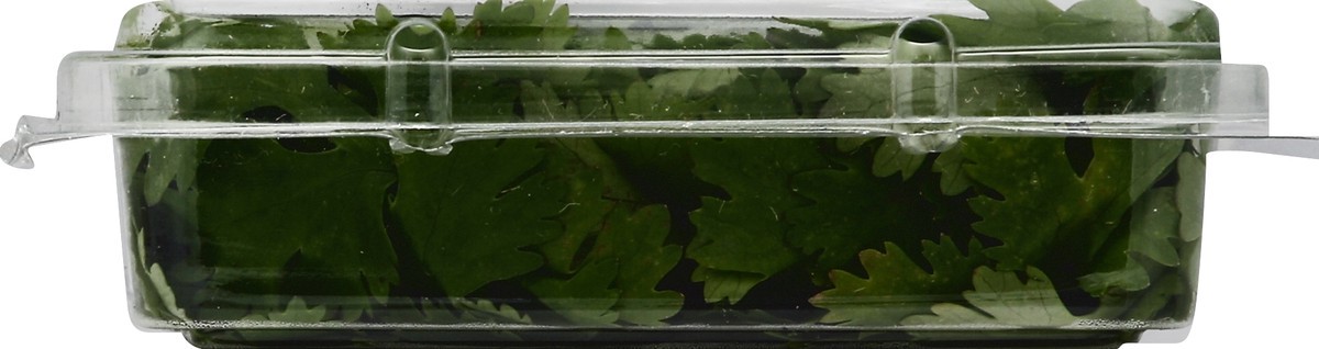 slide 6 of 6, Full Circle Cilantro, 0.67 oz