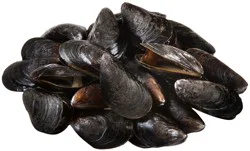 Mussels
