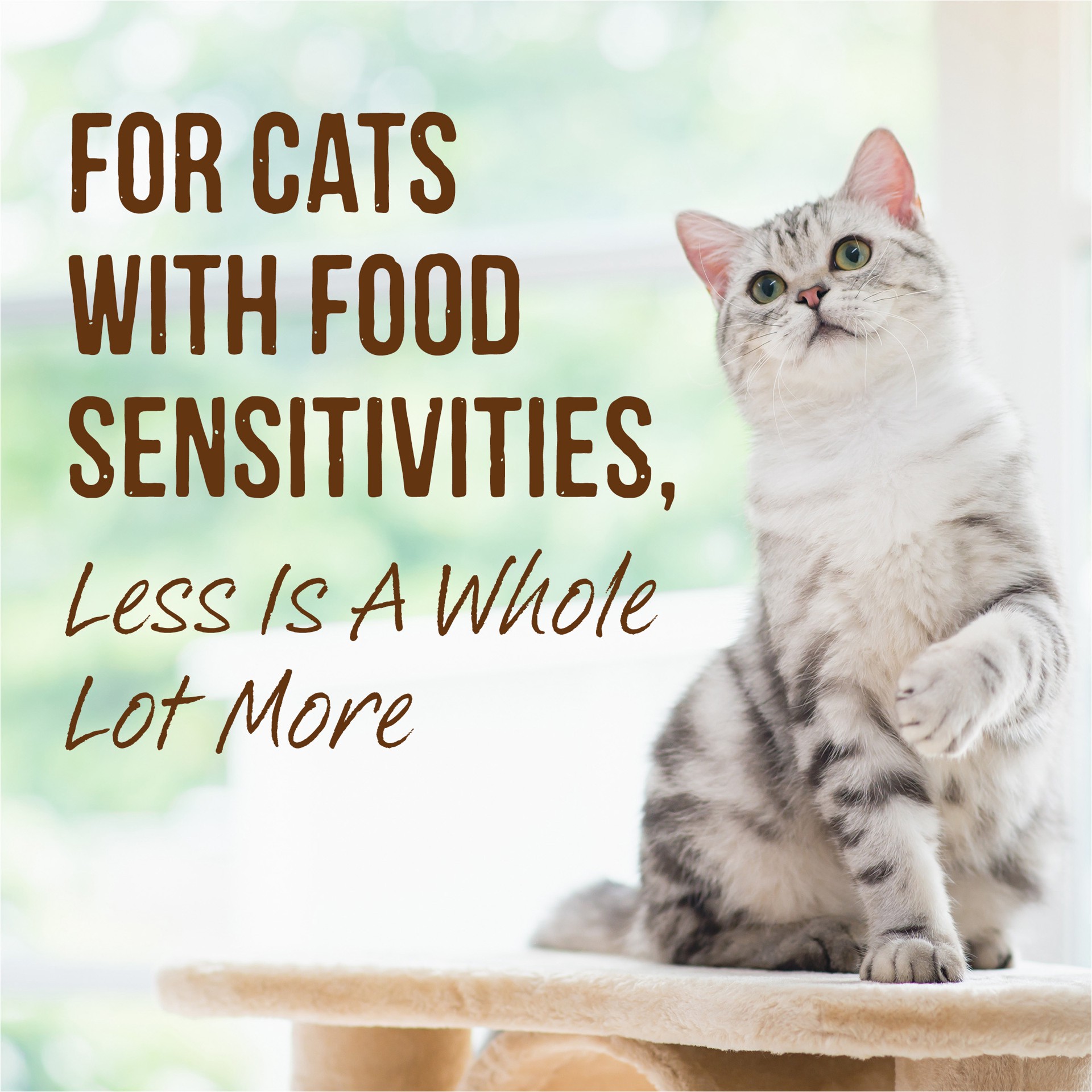 slide 4 of 9, Merrick Limited Ingredient Diet Premium Grain Free And Natural Canned Pate Wet Cat Food, Chicken Recipe, 2.75 oz