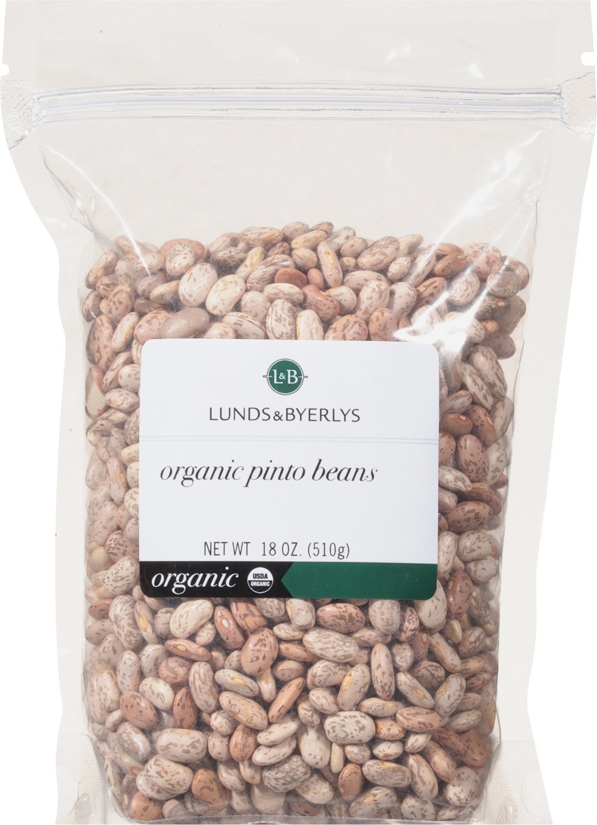 slide 3 of 9, Lunds & Byerlys Organic Pinto Beans 18 oz, 18 oz