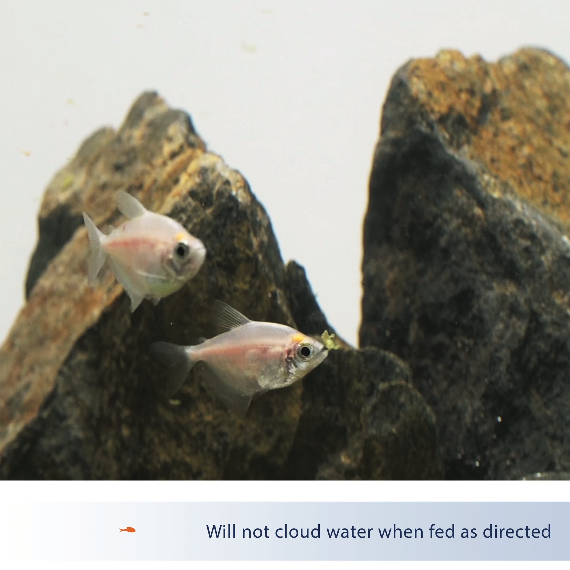 slide 6 of 7, Aqueon Tropical Flakes .45 Ounces, 1 ct