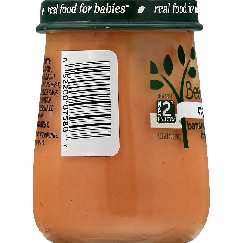 slide 7 of 11, Beech-Nut Organics Banana Cinnamon & Granola Baby Food Jar - 4oz, 4 oz