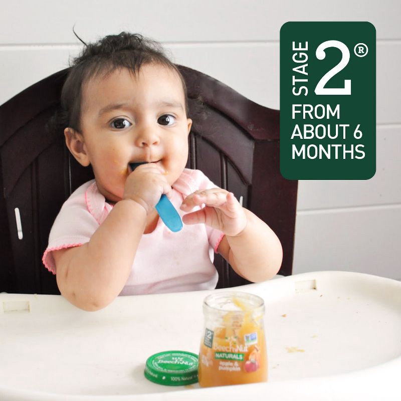 slide 3 of 12, Beech-Nut Organics Banana Cinnamon & Granola Baby Food Jar - 4oz, 4 oz