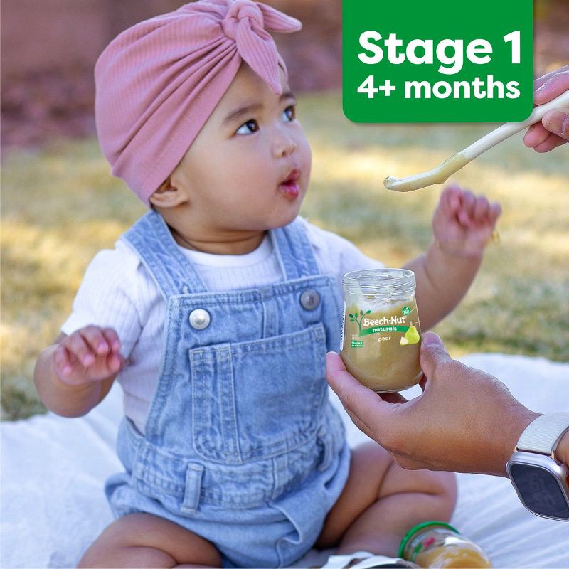 slide 6 of 7, Beech-Nut Non-GMO Organics Pears Baby Food Jar - 4oz, 4 oz