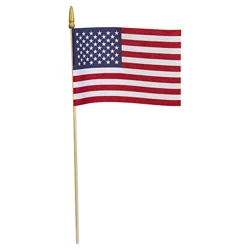 Annin Flagmakers US Flag 8 x 12 in 1 ea