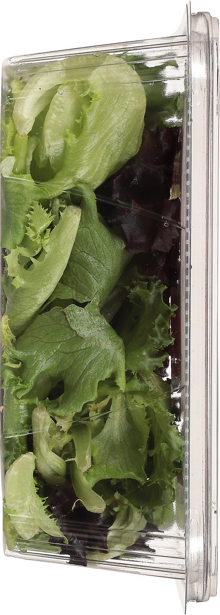 slide 3 of 10, Little Leaf Farms Baby Red & Green Leaf Lettuce 4 oz, 4 oz